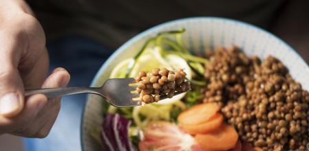 Priorizar la proteína vegetal es básico para tener una dieta saludable en el envejecimiento