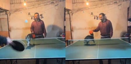 El felino y su nuevo entretenimiento.