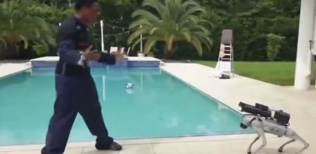 Descripción de la imagen