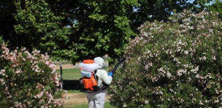 Imagen de recurso de un operario realizando las labores de fumigación y el tratamiento de imbornales contra el mosquito para prevenir el Virus del Nilo en un parque de Coria del Río (Sevilla).&nbsp;