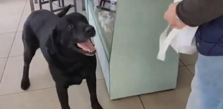 Otto en una panadería