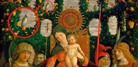 Detalle de la ‘Madonna della Vittoria’ de Mantegna con una ampliación de su cacatúa austral