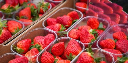 Adiós a que se pudran las fresas: este es el lugar perfecto para guardarlas y poder conservarlas así en buen estado durante más tiempo
