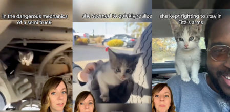 La bonita historia que salvó a una gata bebé de una tragedia en los bajos de un camión.