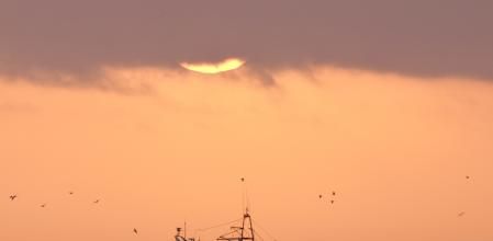 Barco de pesca regresando a puerto en Palamós.