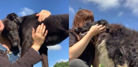 La joven grabó una escena tierna.