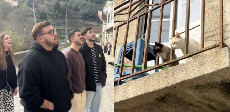 Los amigos cantando a los gatos