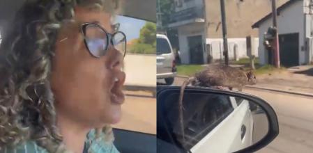 La mujer quedó asustada al ver al animal.