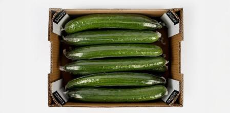 Pepino holandés, envuelto en plástico retráctil