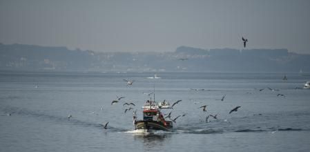 Regreso de los pescadores a las 11:44 de la mañana, perseguidos por gaviotas.