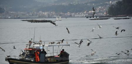 Los pescadores se desprenden de la pesca inservible.