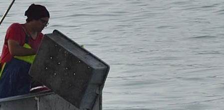 Detalle de los pescadores deshaciéndose de la carga inservible.