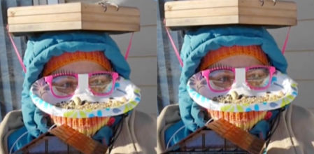 Los usuarios se han quedado atónitos en redes sociales