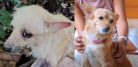 La milagrosa recuperación de Hope en solo 4 meses ha sorprendido a todo Internet