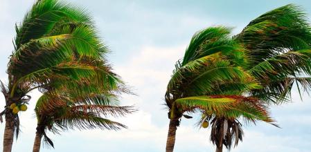 Temporal de viento en Canarias&nbsp;