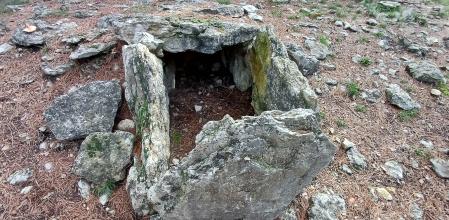 Dolmen de Sant Amanç