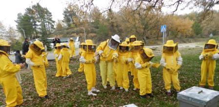 Traslado de abejas a Riner