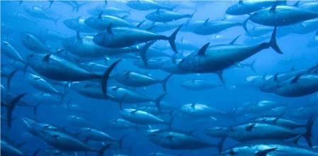 SOS-tenibilidad. El ciclo de conferencias sobre SOS-tenibilidad cumple tres años en su objetivo de dar voz a los expertos y activistas en defensa de la naturaleza y el medio ambiente.