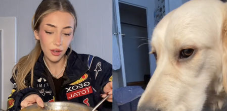 El peludo comiendo su plato para recuperarse de la diarrea