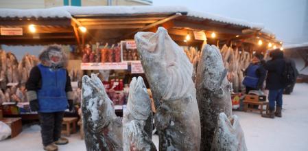 Ni Groenlandia ni Polo Norte: la ciudad más fría del mundo está en Rusia y alcanza los 70 grados bajo cero&nbsp;