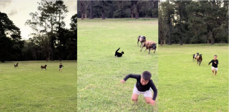 El gato no dudó en socorrer al niño