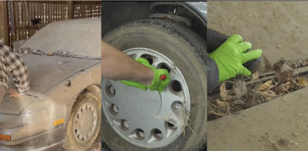 Estuvo durante 19 años en un garaje