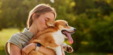 young girl hugging pembroke welsh corgi in the park in sunny weather, happy dogs concept