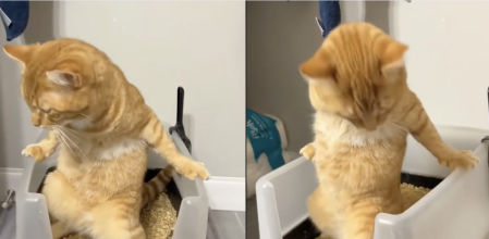 Se mantuvo de pie buscando una postura cómoda