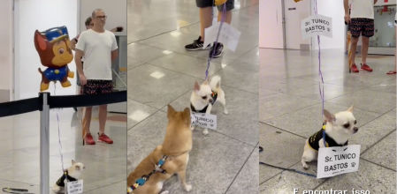 Se llevó la atención de todo el aeropuerto