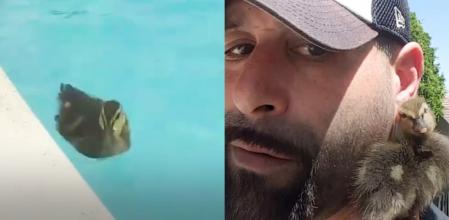 El hombre y su nueva mascota.