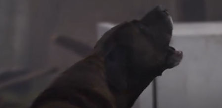 Max está a salvo a la espera de reencontrarse con su familia