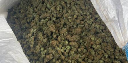 Marihuana intervenida por los Mossos d'Esquadra en una imagen de archivo (Mossos / ACN)