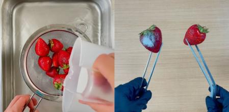 Mediante la termoterapia puedes conservar las fresas en perfecto estado hasta siete días.