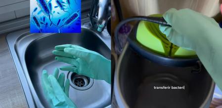 No deberíamos usar los mismos guantes para fregar los platos y limpiar el resto de la casa.