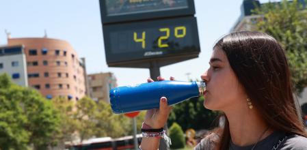 Ola de calor: ¿Qué alimentos comer para bajar la temperatura corporal?