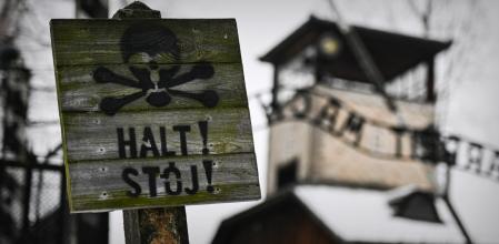 Auschwitz home ilustración liberación