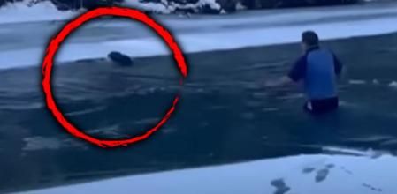 Chris MacRitchie yendo a por la perra