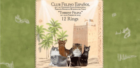 El Ayuntamiento de Torrent, liderado por el concejal de Vox, Santiago Calatayud Fabiá, enfrenta críticas por organizar la 20ª y 21ª Exposición Felina Internacional en febrero de 2025