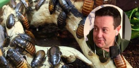 Antoni Daimiel en el podcast de '3+1'