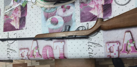 El arma con la que el jubilado disparó al delincuente