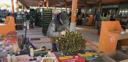 PRESENTACION CAMPAÑA P DE PAGÈS EN MERCABARNA