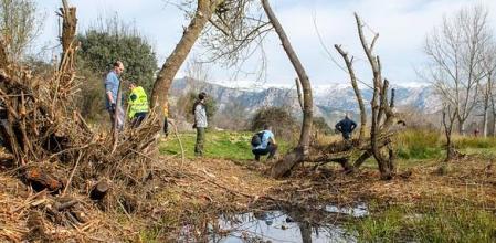 En la edición de 2024 de este proyecto participaron  más de 6.800 personas liberadoras en 430 puntos del país  .