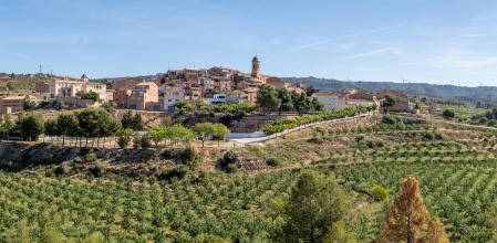 Bovera​ es un municipio español de la provincia de Lérida, situado en la parte meridional de la comarca de Las Garrigas, comunidad autónoma de Cataluña, justo en el límite con la provincia de Tarragona. VISTA PANORÁMICA DE BOVERA EN LA COMARCA CATALANA DE LES GARRIGUES