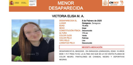 Cartel de la menor desaparecida hecho por el Centro Nacional de Desaparecidos (CNDES)