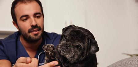 Andrés Santiago, veterinario clínico, explica que el frío puede irritar la piel de los perros y provocar sequedad y picazón