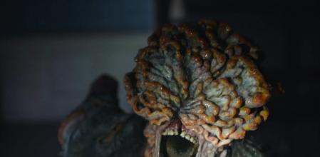 Imagen de un infectado de Cordyceps.