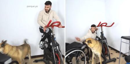 La enternecedora actitud de una perra de asistencia al advertir a su dueño sobre que la silla de ruedas no tiene los frenos puestos: “Cómo os entendéis”