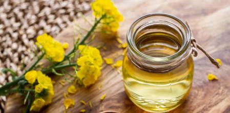 La canola es una variedad de colza creada en Canadá