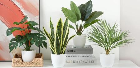 Lleva la tendencia más natural a tu recibidor con estas plantas artificiales parecen de verdad