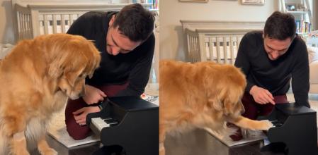 El golden retriever ha aprendido a tocar el piano gracias a una técnica llevada a cabo por su dueño